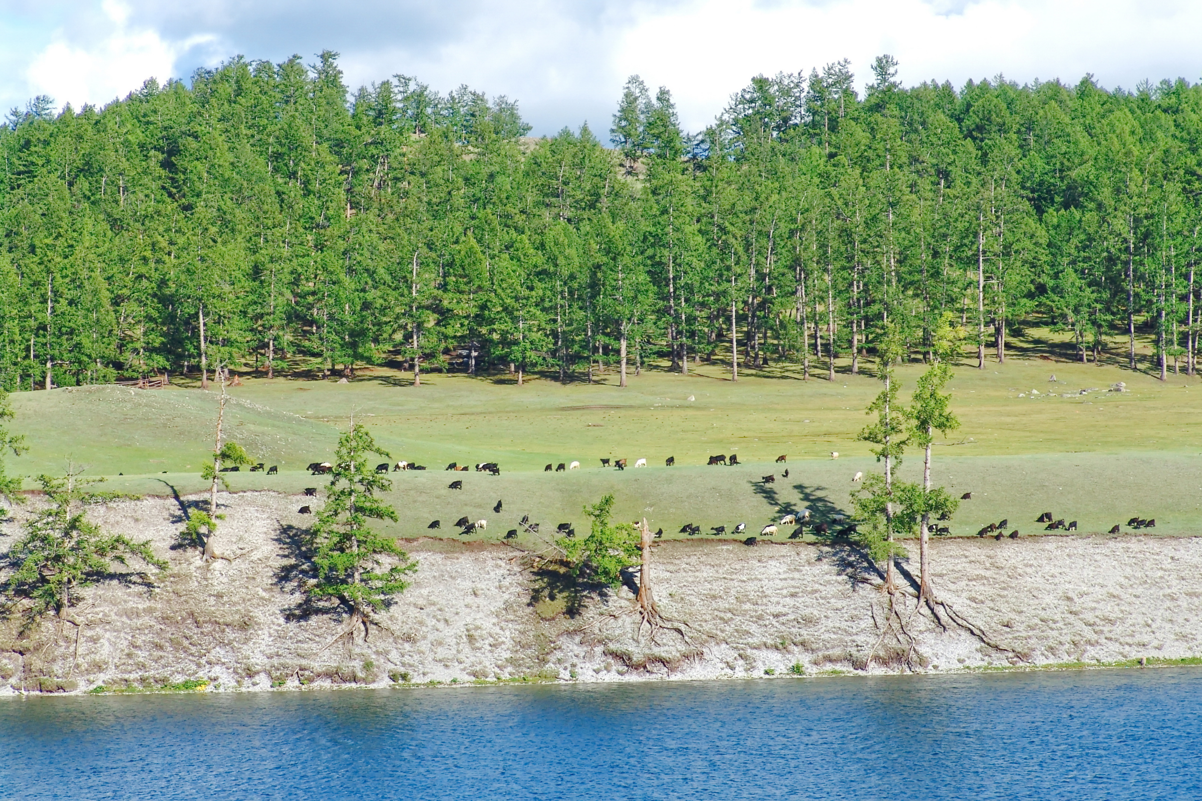 khuvsgul lake (2).webp